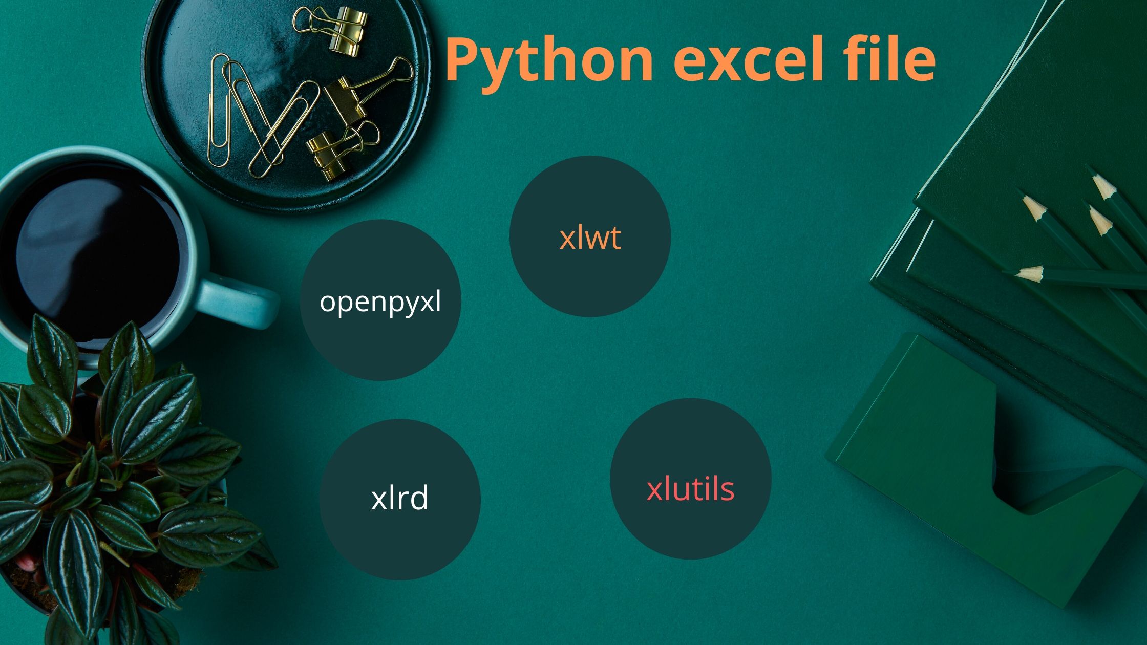 python-packages-excel-file