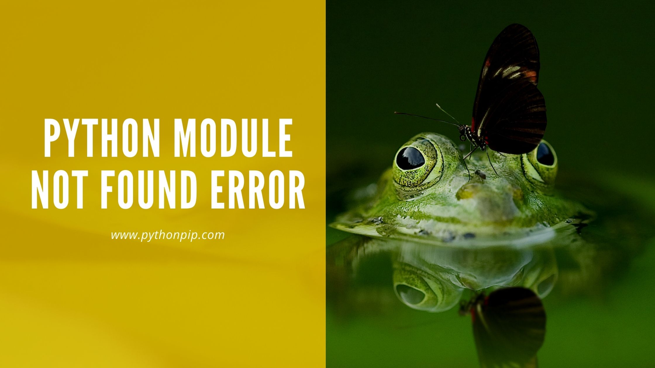Python-Module-Not-Found-Error