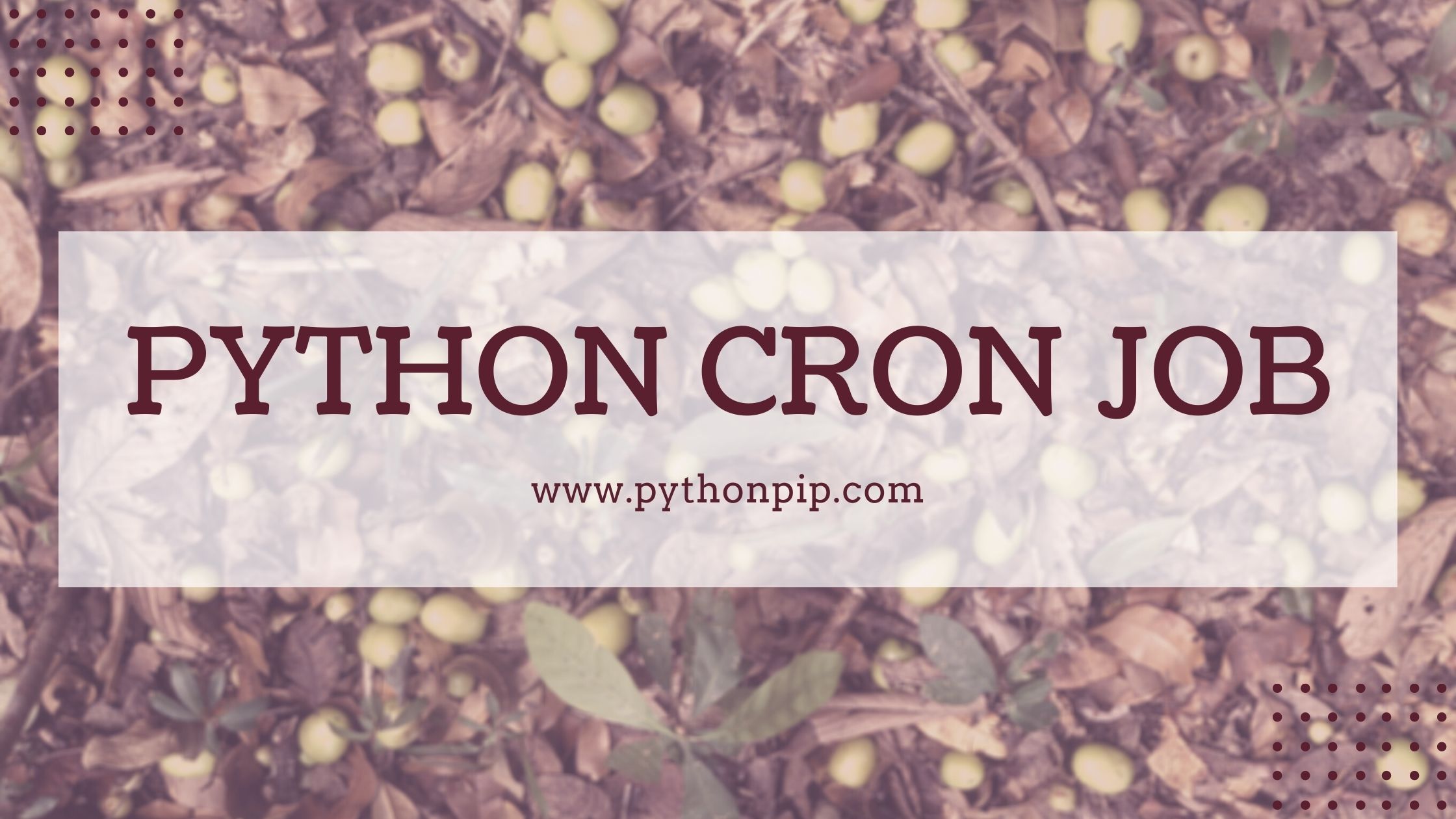 python-cron-job
