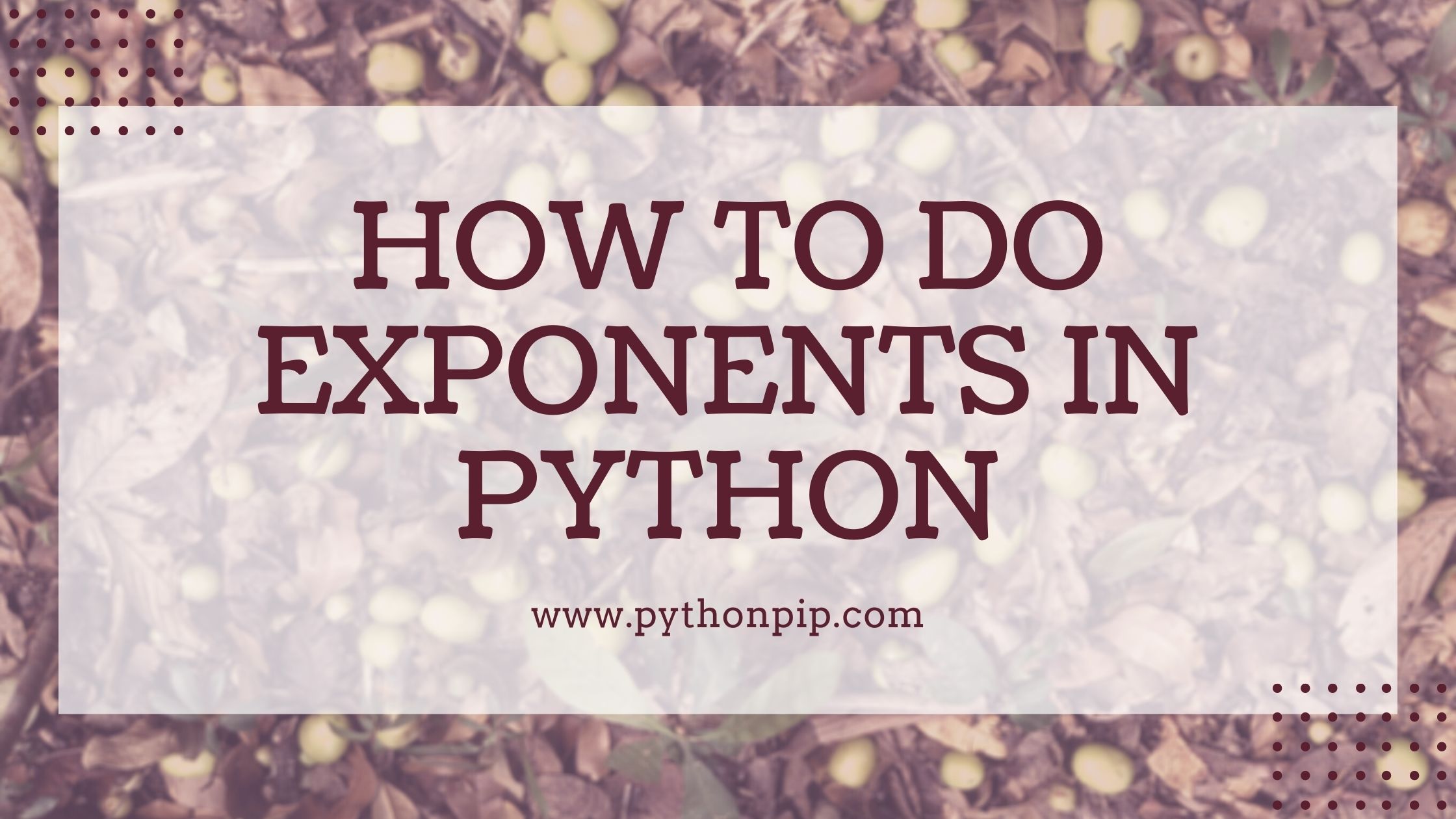 how to do exponents in python