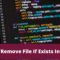 How To Delete File If Exists In Python