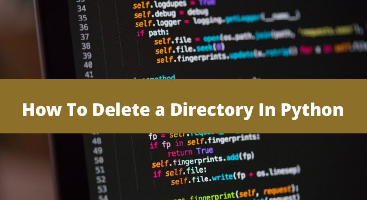 python remove directory